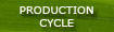 production cycle